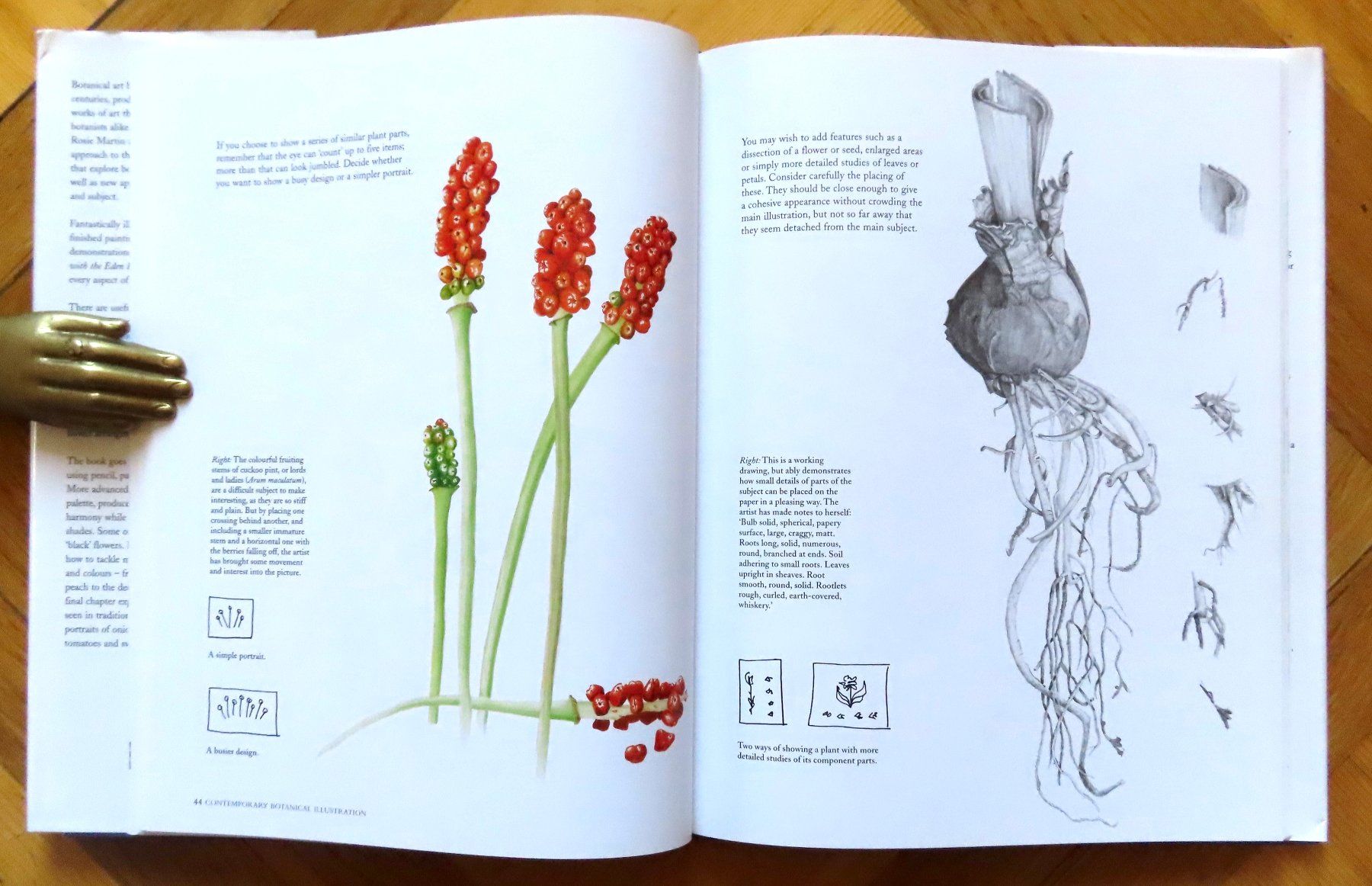 Libri: Contemporary Botanical Illustration – Usato da Le Locle venduto da LibrairieLaBergerie 2