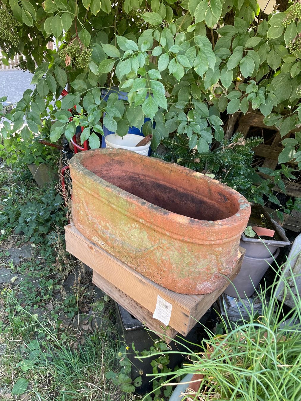 Blumentöpfe: Terra-Cotta – Gebraucht aus Forch von ESELSTEIN