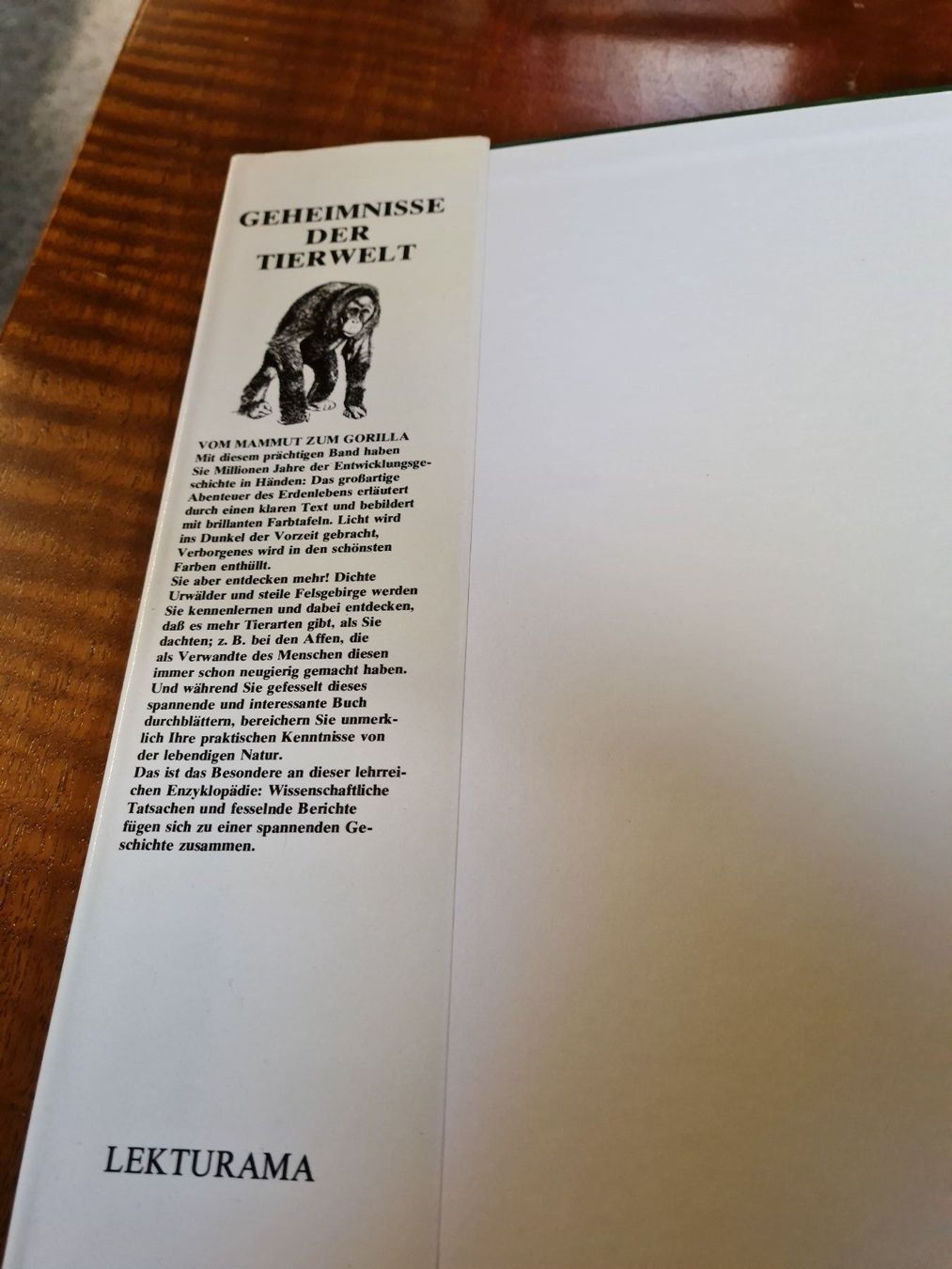 Libri: Vom Mammut zum Gorilla – Usato da Erstfeld venduto da Uhu1980 1