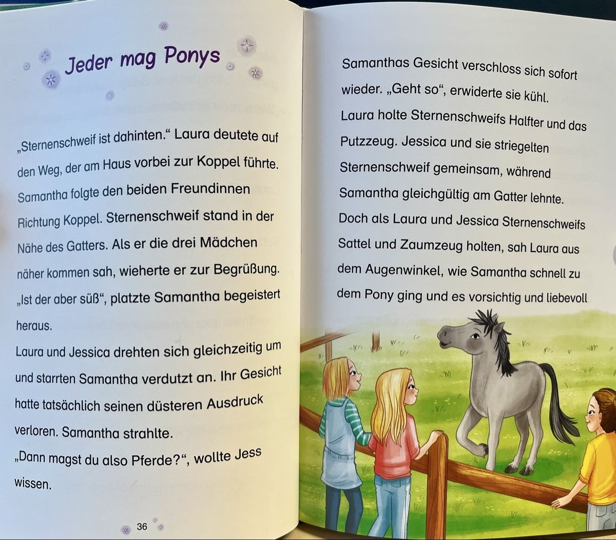 Bücher: Sternenschweif Der steinerne Spiegel Kinderbuch – Gebraucht aus Steffisburg von Afrika82 2