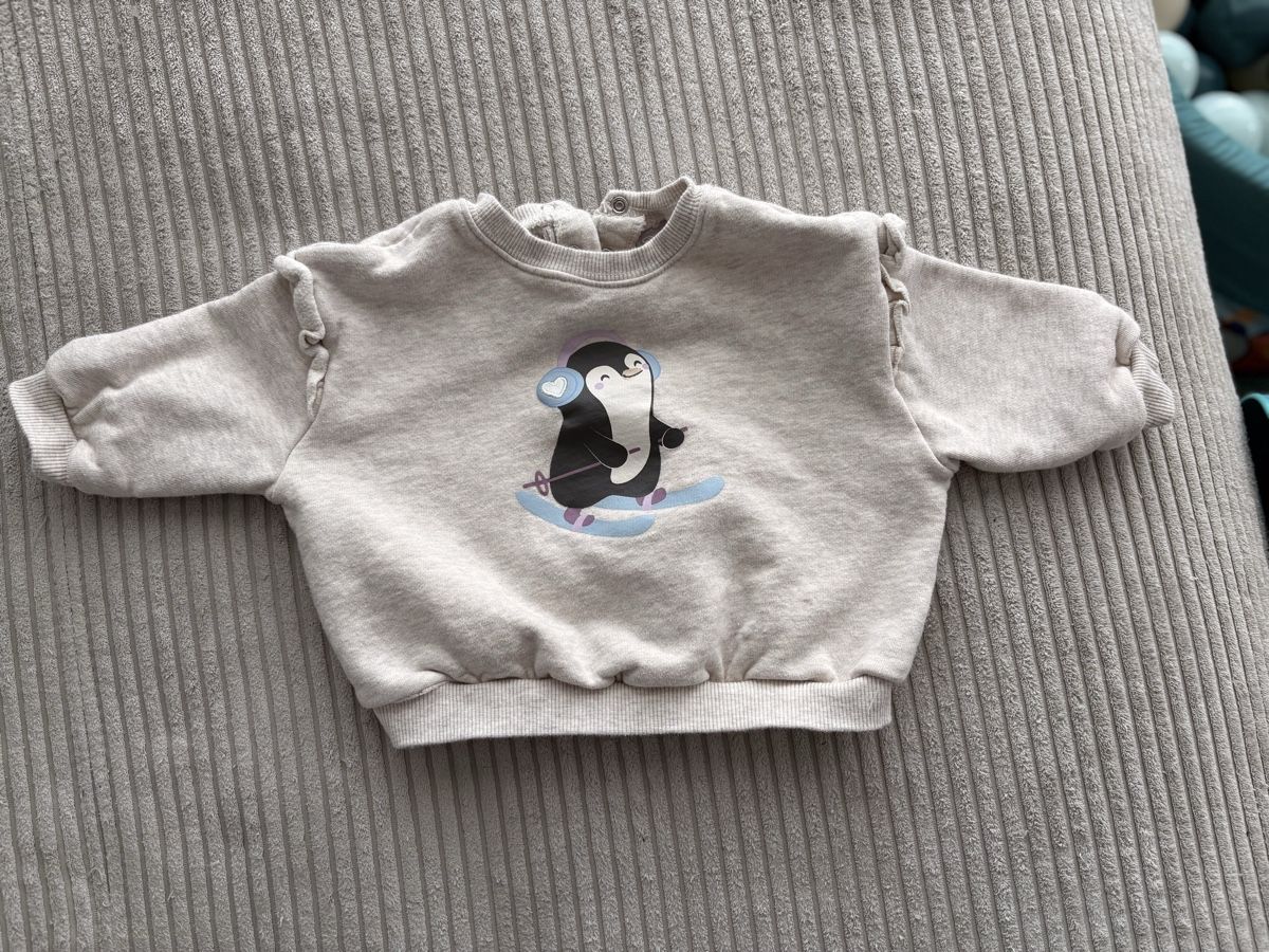 Maglioni & Felpe: Pullover Gr.74/80 – Usato da Wittenbach venduto da xlavieestbelle