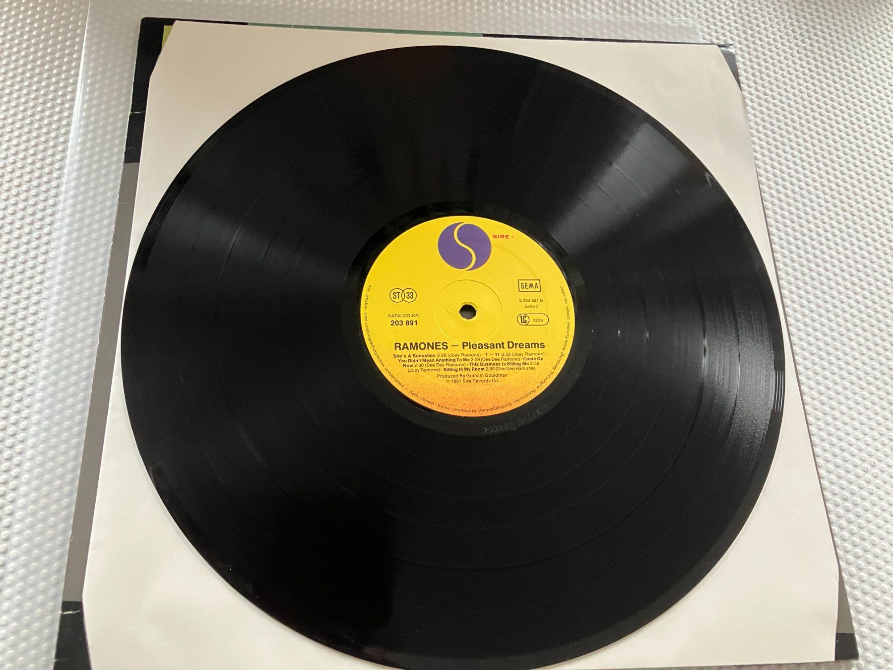 Dischi in vinile: Ramones – Usato da Aarwangen venduto da Jukebox3 6