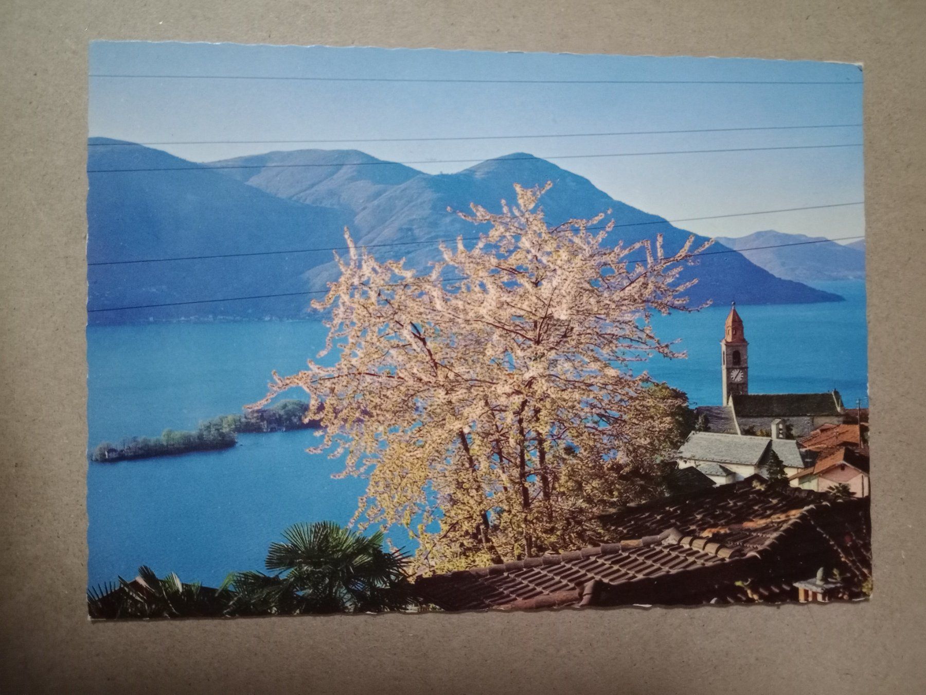 Ansichtskarten: Ak Ronco e Isole Lago Maggiore – Gebraucht aus Küttigen von Melisch1000