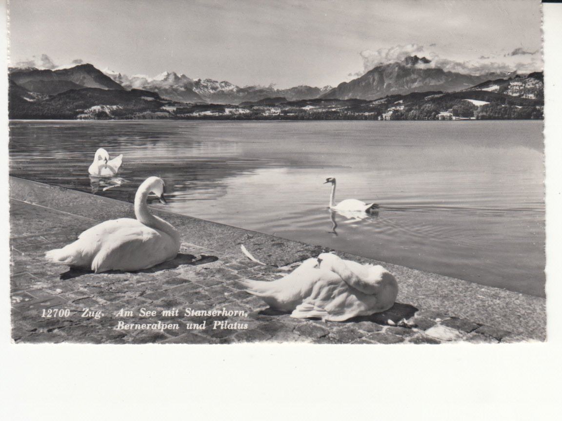 Cartoline postali: Zug ca. 1950 – Usato da Bürglen TG venduto da StampGraf