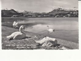 Zug ca. 1950