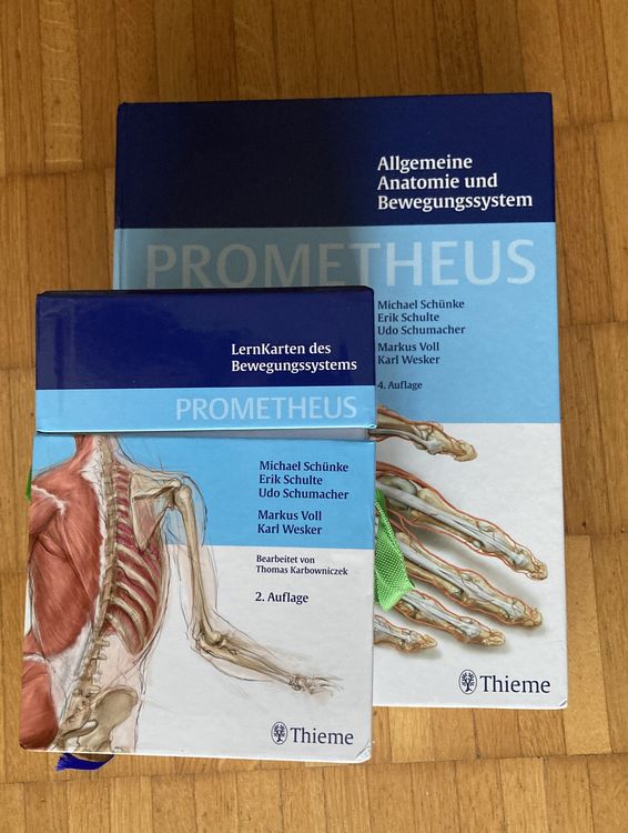 Lernatlas, Allg.Anatomie + Bewegungssystem Lernkarten Thieme | Acheter ...