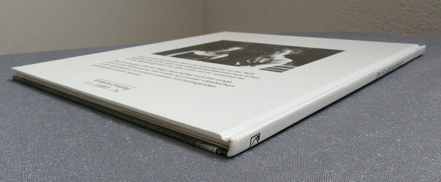 Libri: Der Kastanienbaum - Kindersachbuch – Usato da Auenstein venduto da Padabimbim 9