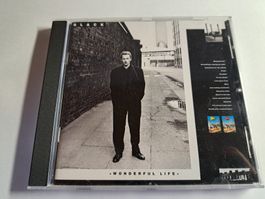 BLACK - Wonderful Life