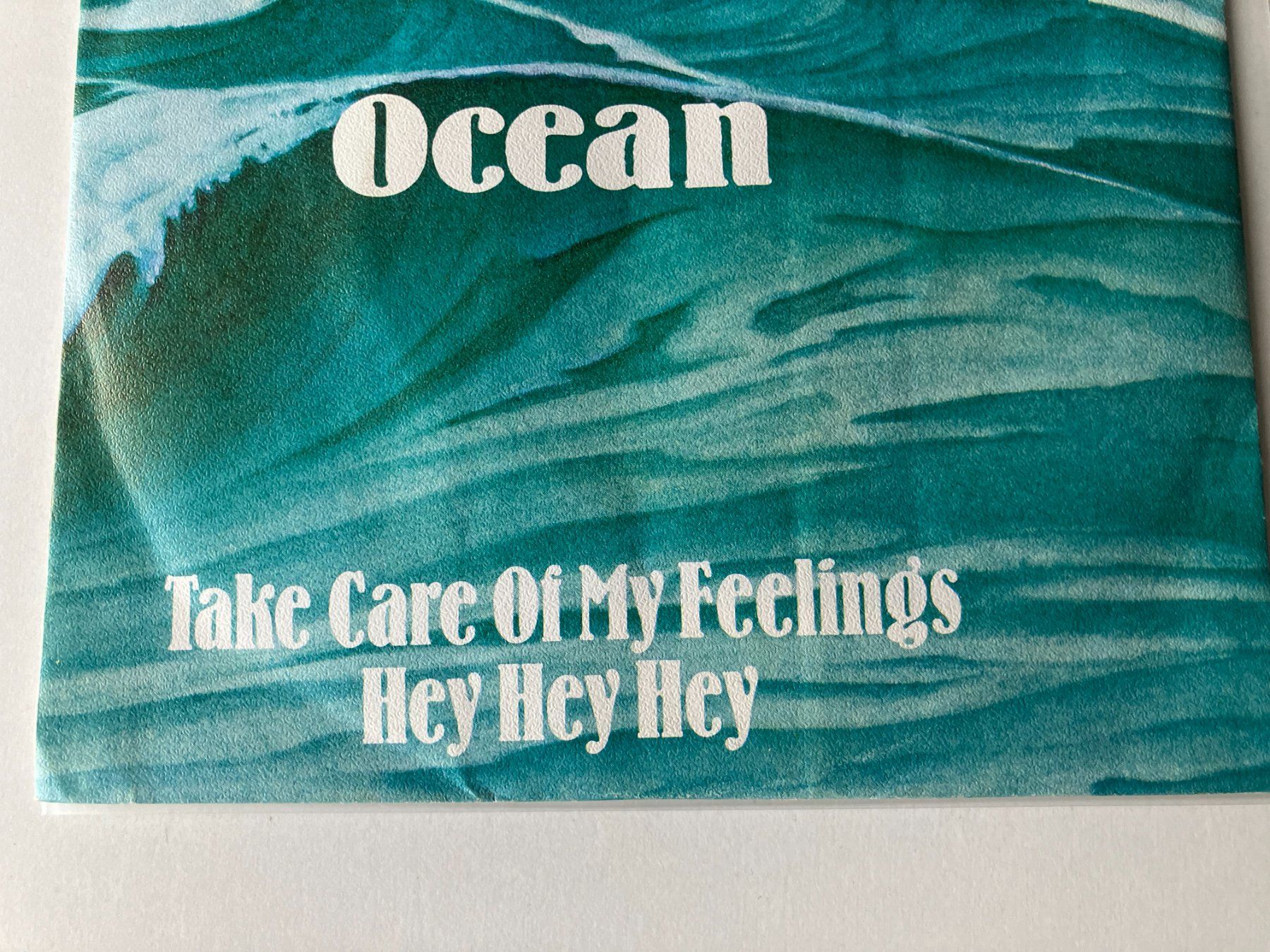 Dischi in vinile: Ocean – Usato da Aarwangen venduto da Jukebox3 1