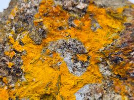 RaRe Greenockite, Lengenbach Quarry, Fäld, Binn, Valais
