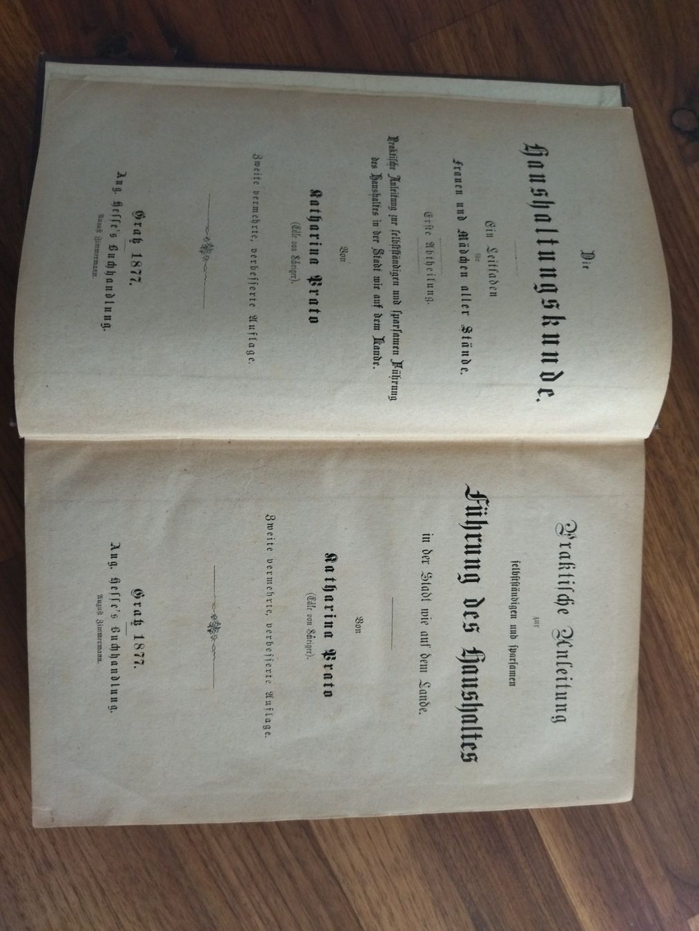 Libri: Kochbuch antik 1877 – Usato da Felben-Wellhausen venduto da bananajoe8474 2