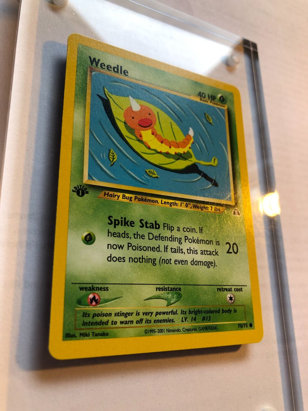 Carte collezionabili: Weedle 1st Neo Discovery - MINT - ab 1.- – Usato da Giubiasco venduto da dan_pr8b 1