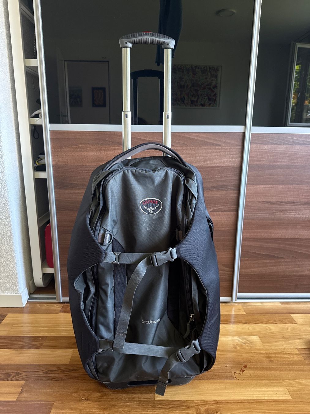 Osprey Valises de voyage: Osprey Sojoum Koffer / Rucksack – D'occasion à Aeugst am Albis par AnaisS99
