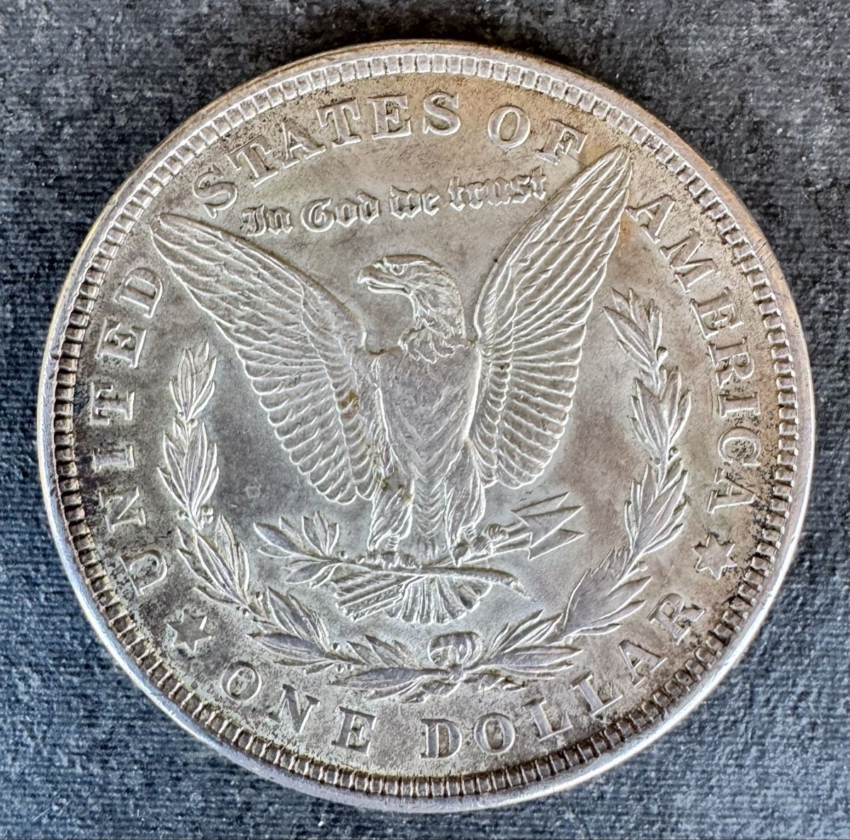Tutti le monete: Morgan Dollar 1921 – Usato da Meilen venduto da coins4sale 1