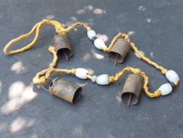 Kupfrige Geissen- Becherglocken und Schmucksteine