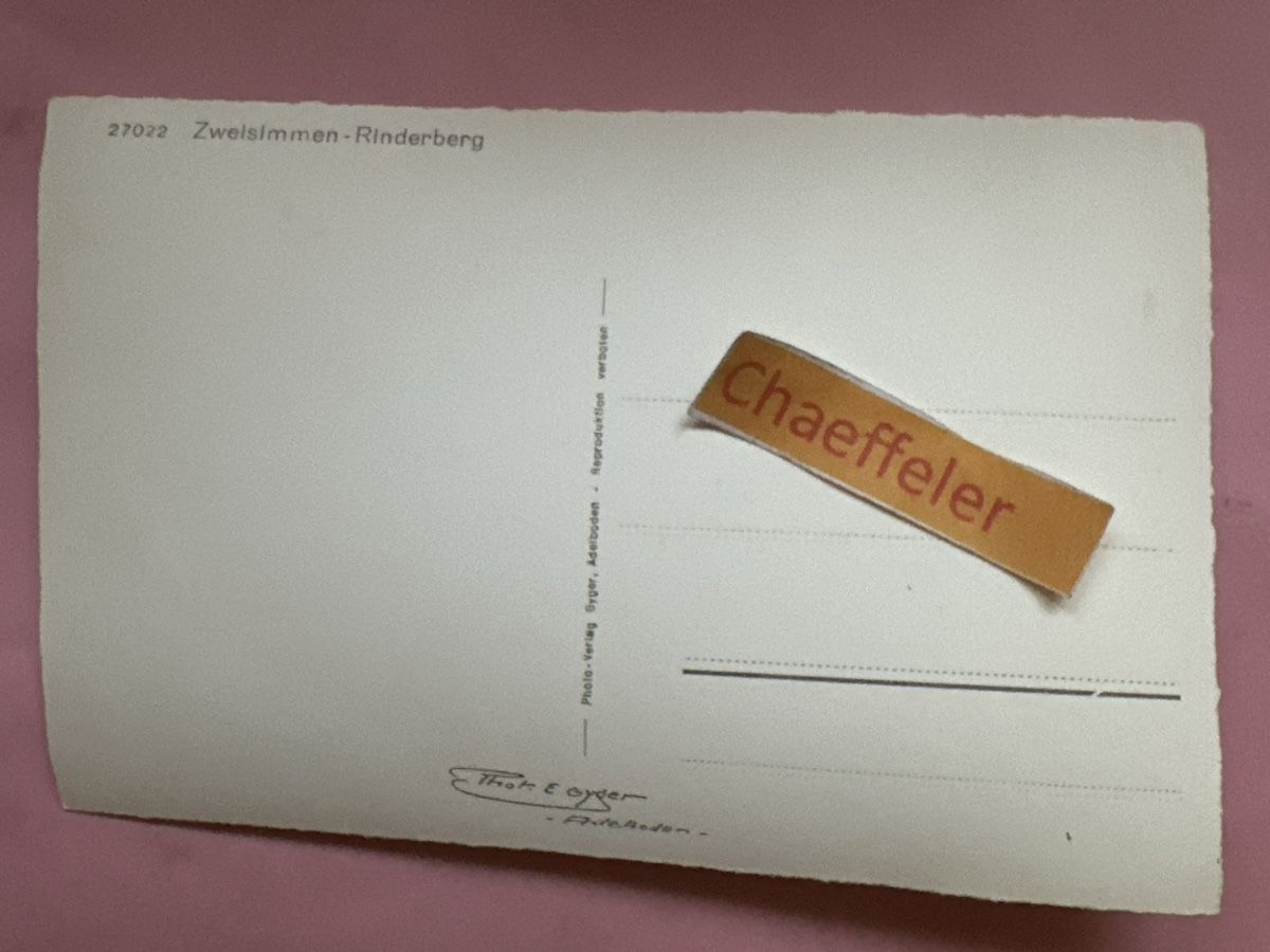 Cartoline postali: 27022 Zweisimmen-Rinderberg – Usato da Zürich venduto da Chaeffeler 1
