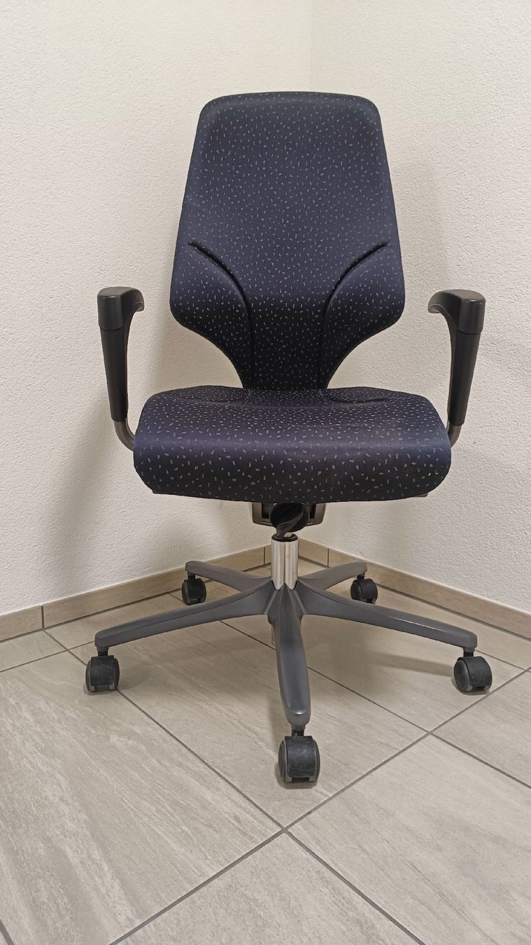 Giroflex Sedie: Bürostuhl Giroflex 64 – Usato da Schmitten FR venduto da oftringen 2