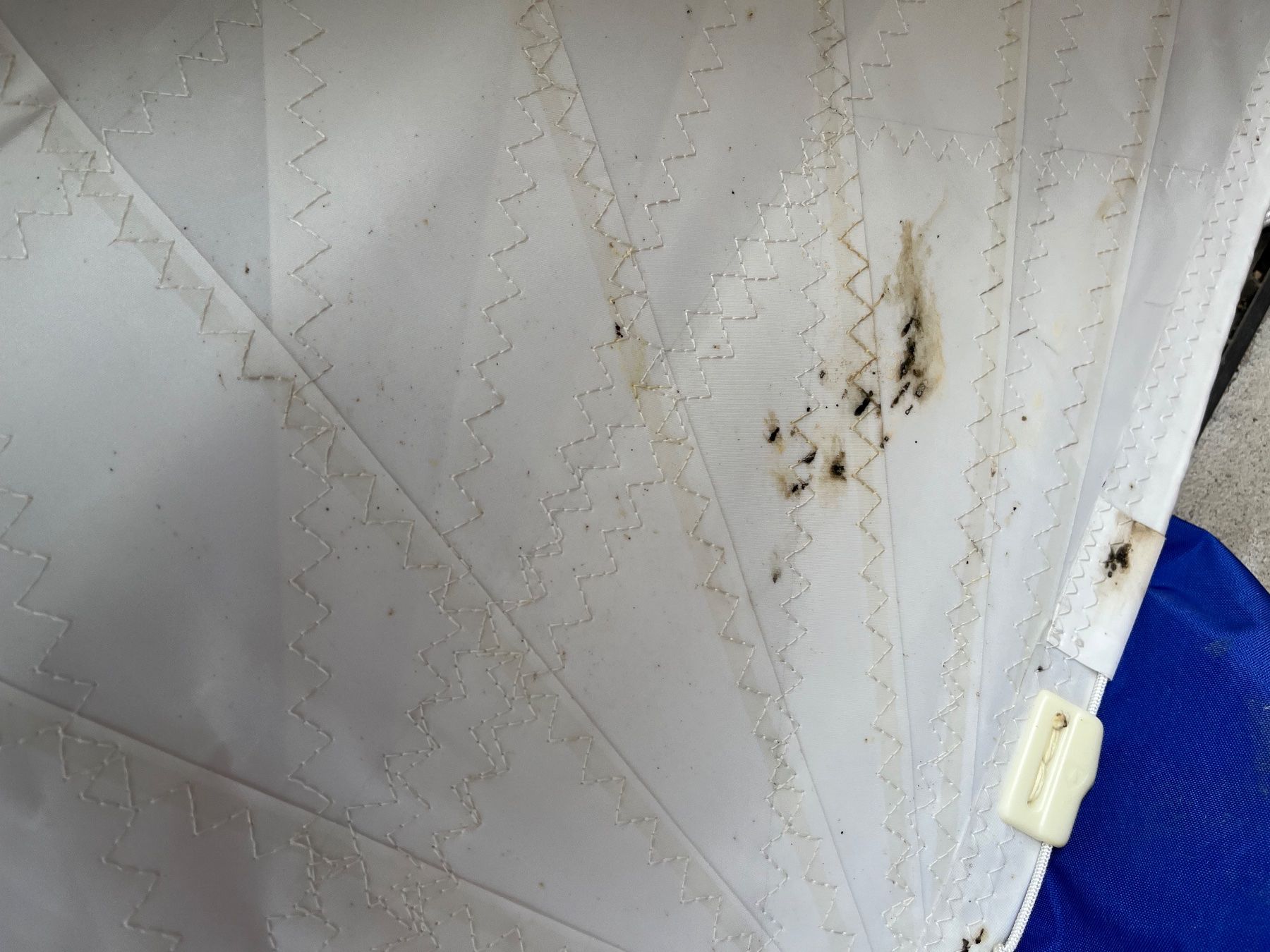 Altro: Grand-voile – Usato da Boussens venduto da all0 1