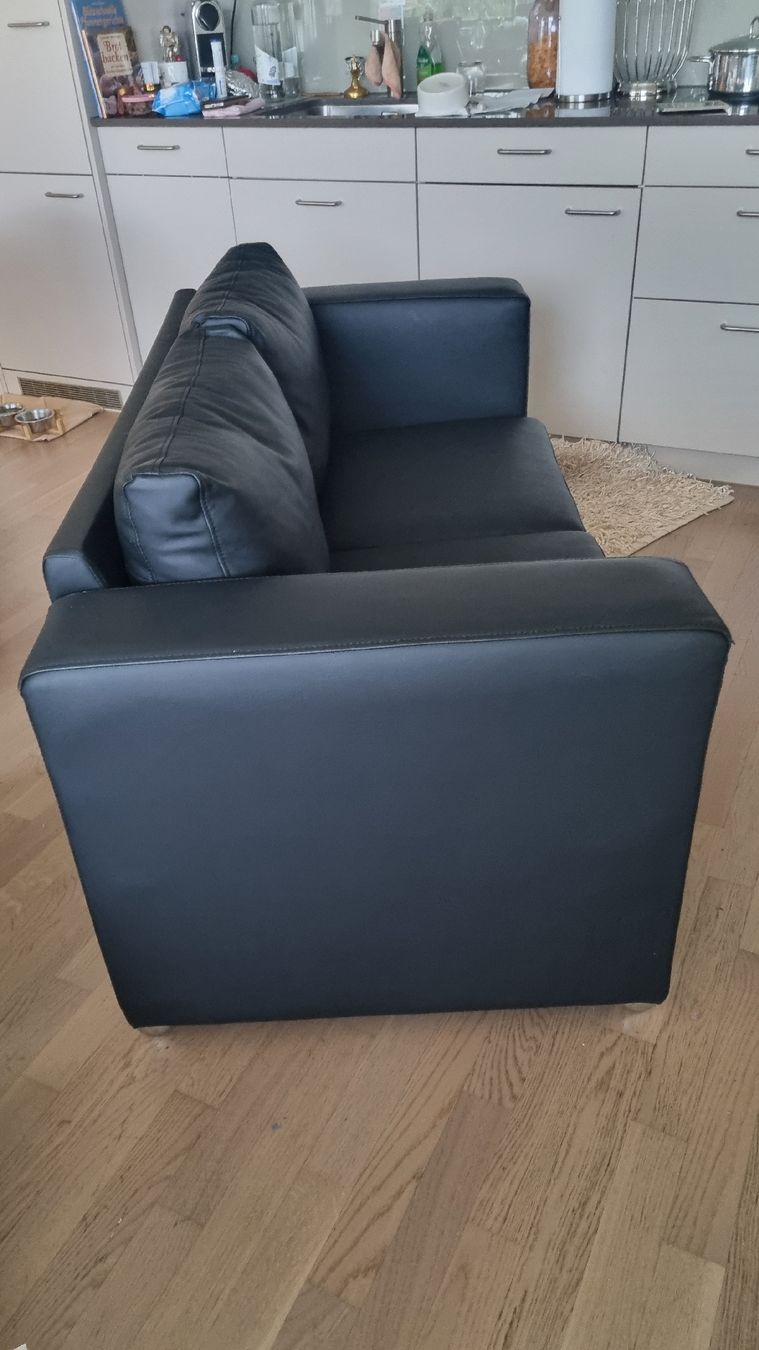 Divani: Sofa – Nuovo (secondo la descrizione) da Niederglatt ZH venduto da Aymi14 1