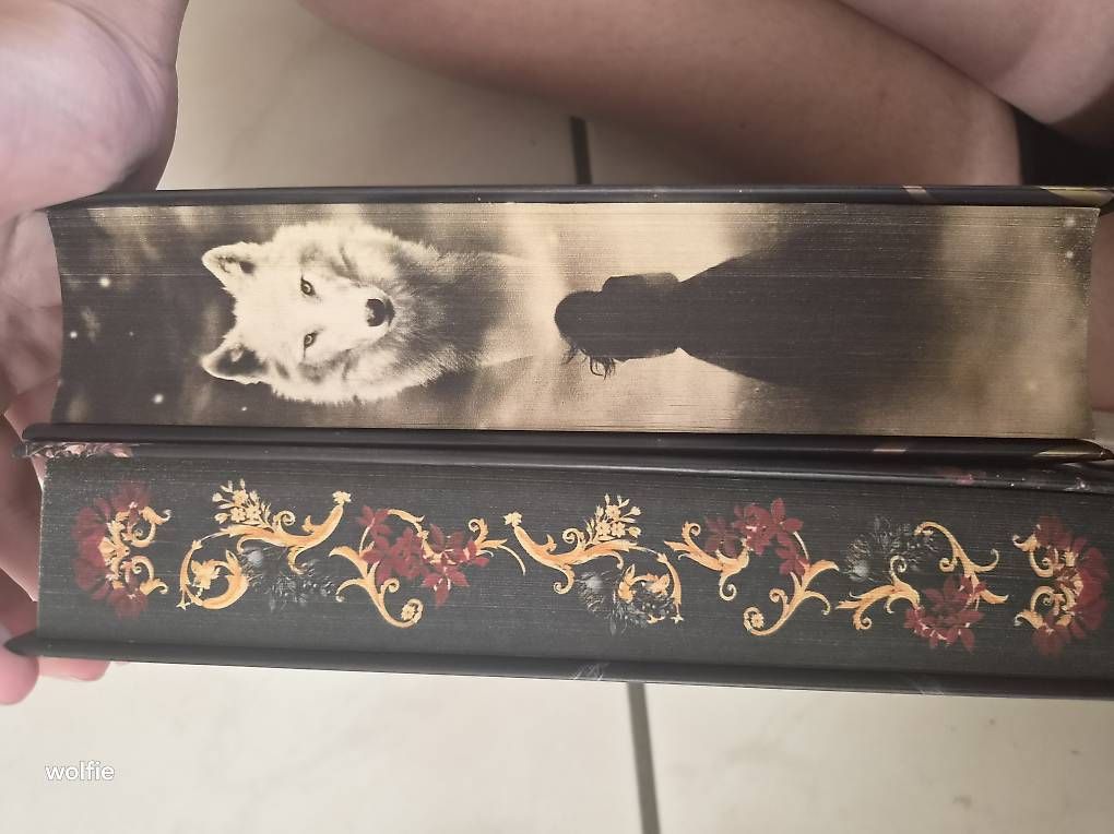 Bücher: Zwei wolf fantasy Bücher  – Gebraucht aus Suhr von ste_w8yp 3