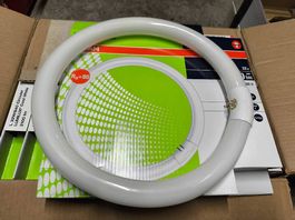 Glühbirne OSRAM L 32W/840 Circular G10q LUMILUX