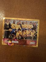 Paninibild FWC 12