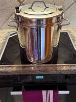 Extracteur de jus ( en inox )/