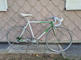 Rennvelo weiss Spaten 