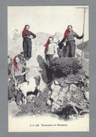 PAYSANNES DE CHAMPÉRY, *, CHÈVRES