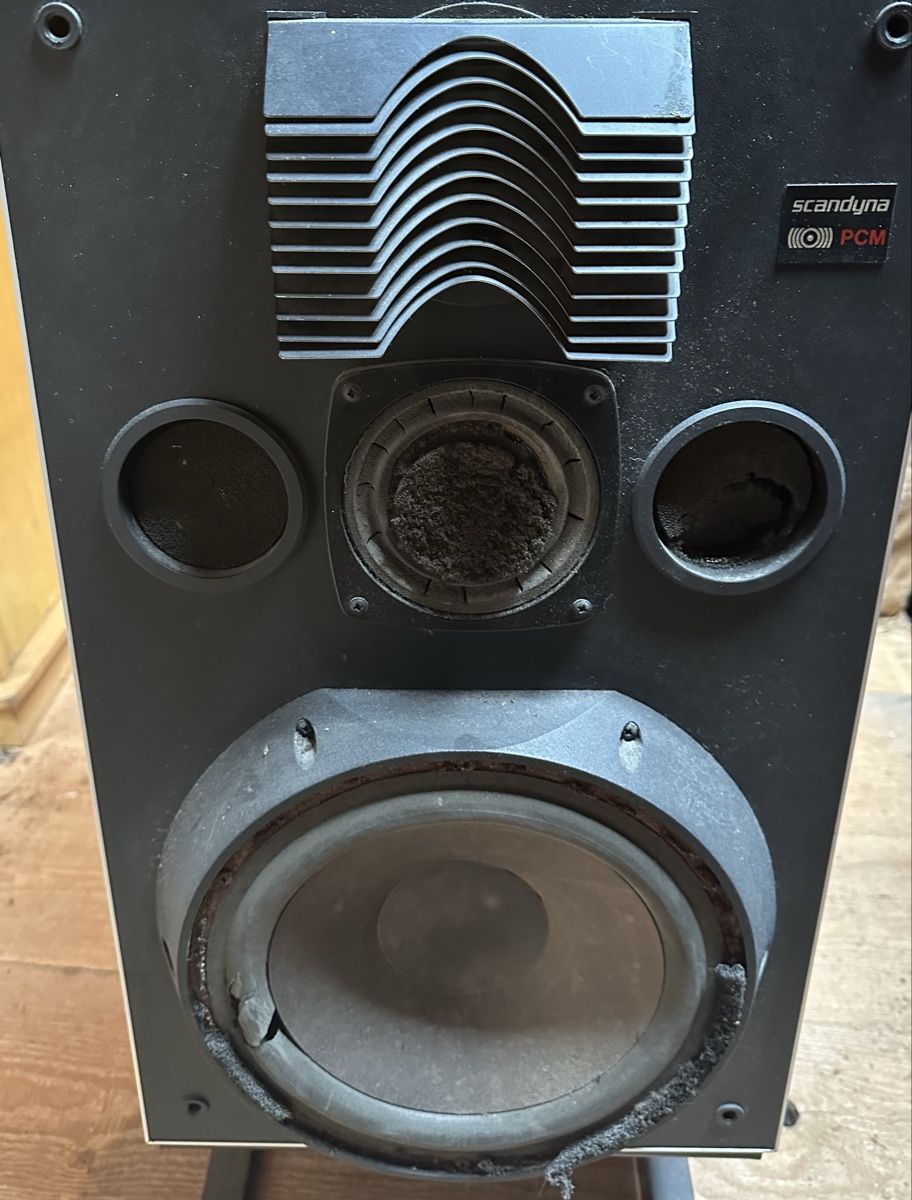 Scandyna Haut-parleurs: Enceintes Scandyna PCM 600w  – D'occasion à Couvet par Alkimix 2