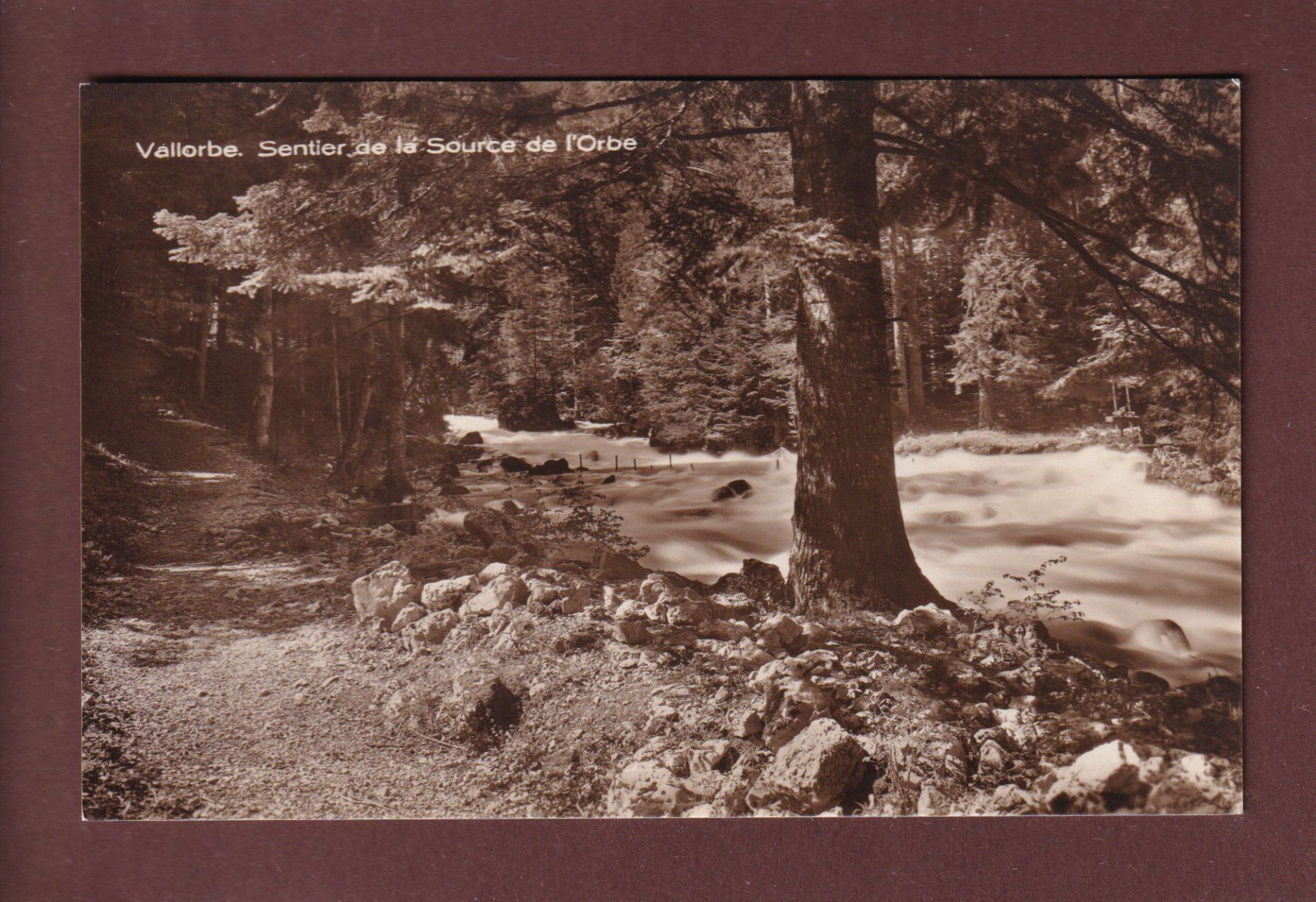 Cartoline postali: VALLORBE - Source de l'Orbe – Usato da Pully venduto da nicecards