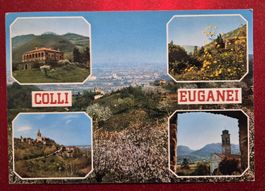 Colli Euganei - Frühlingslandschaft Italien 1986