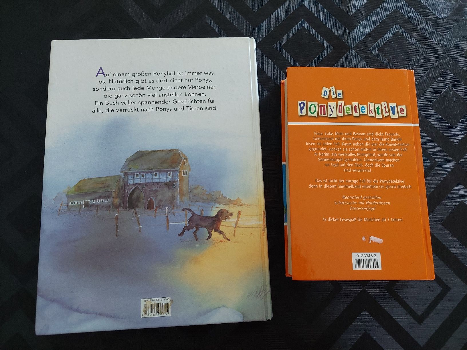 Bücher: 2 Pferdebücher – Gebraucht aus Zetzwil von lanst08 1