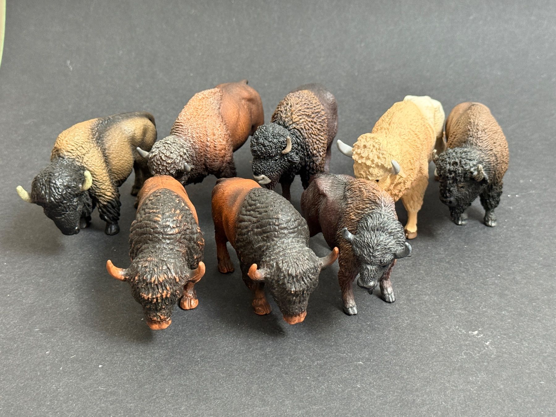 Schleich Statuette: 8 verschiedene Bison Schleich und andere – Nuovo (secondo la descrizione) da Ennetbaden venduto da mapa05