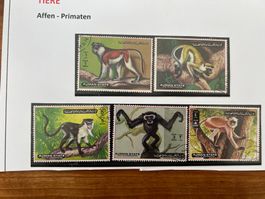 1997 Ajman   Primaten Serie gest.  (A1018)