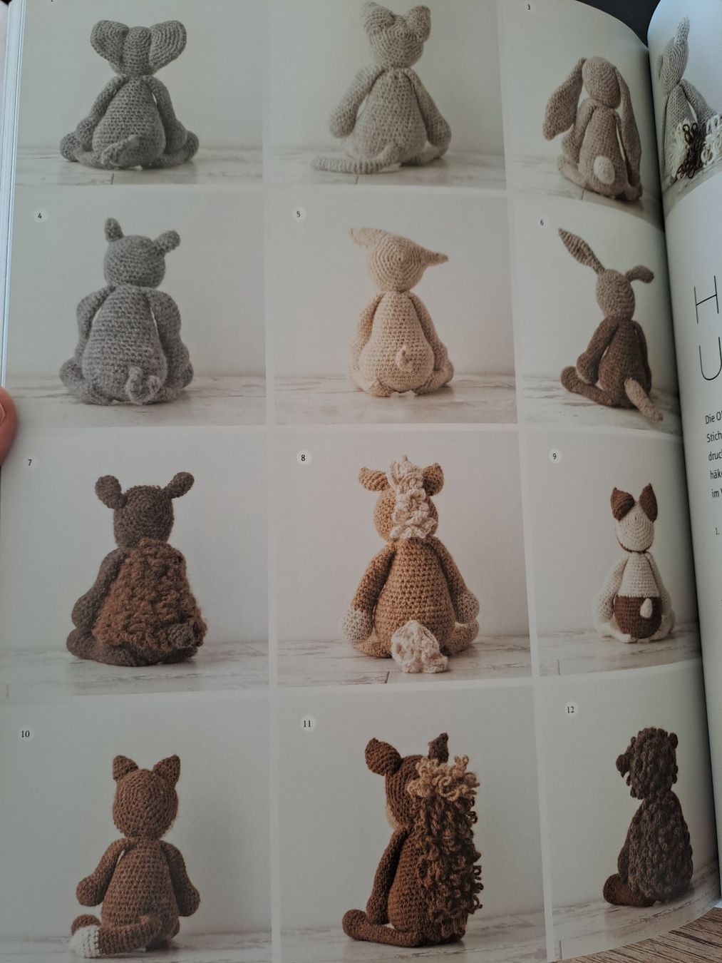 Libri: Häkelbuch Edwards freche Tierparade gebraucht – Usato da Glashütten venduto da Schwebefisch 4