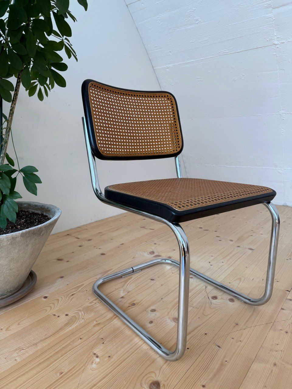 Thonet Sedie: Thonet Freischwinger – Usato da Bern venduto da Arka297 1