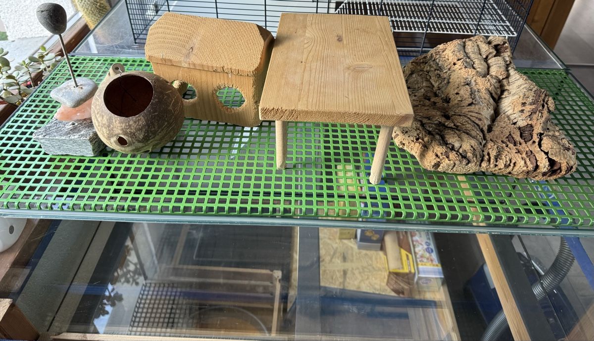 Terrario: Terrarium für Nager – Usato da Mollis venduto da bae_w87t 4