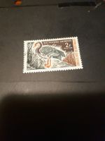 Côte d'Ivoire - Plectropterus Gambensis - Timbre 2F !