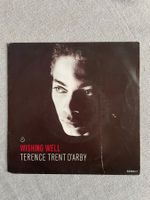 Terence Trent D'Arby – Wishing Well NM  1987