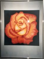 Rosentraum