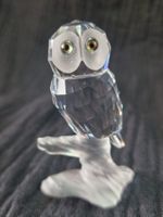 Swarovski Eule auf einem Ast