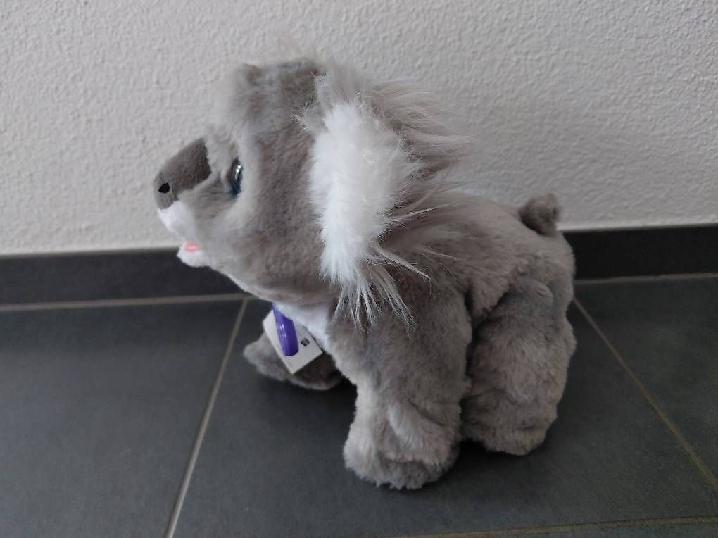 Spielzeuge: Koala von furReal Hasbro – Gebraucht aus Fislisbach von Jessy87 2