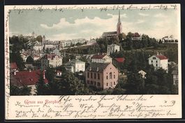Burgdorf, Teilansicht aus der Vogelschau