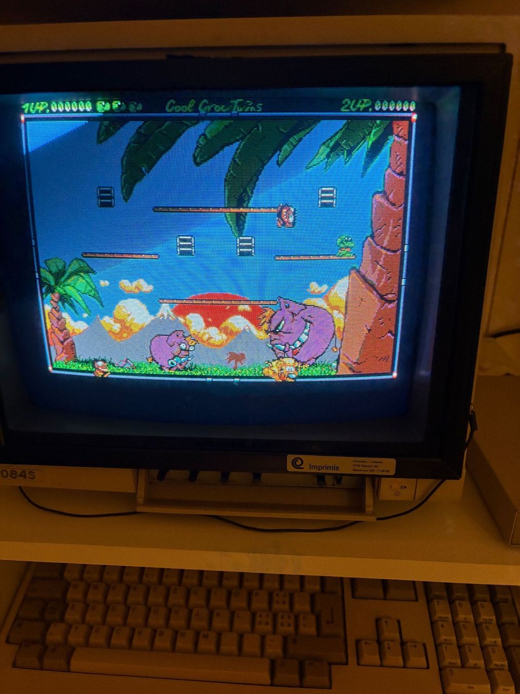 Giochi: Amiga Spiel: The Cool Croc Twins – Usato da Niederhasli venduto da Manuf0 4