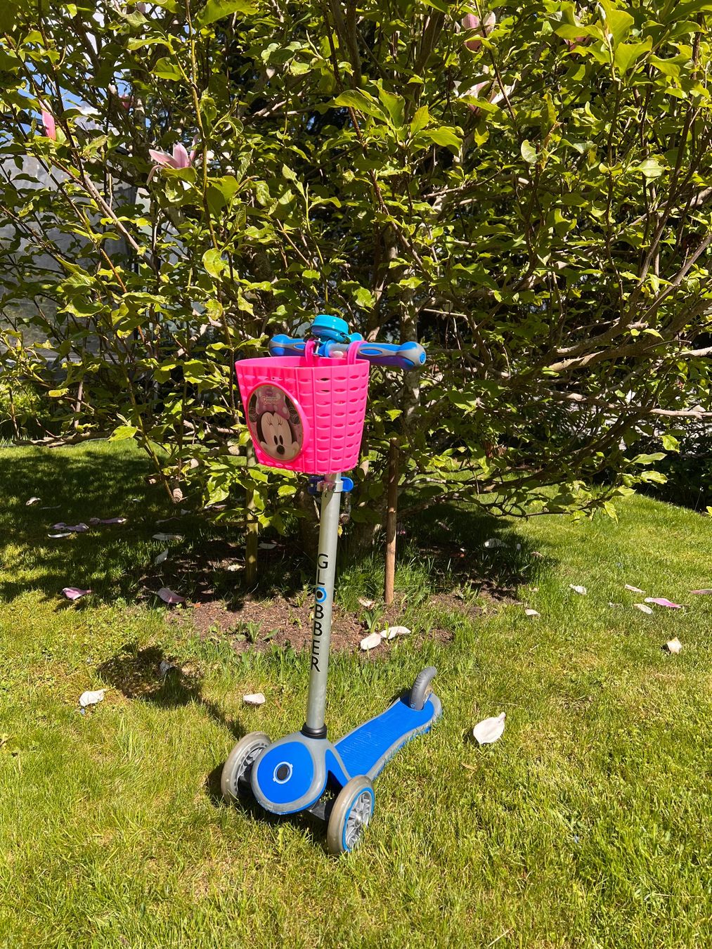 Kickboard: Globber Primo - Kickboard - Scooter – Usato da Ebertswil venduto da Arula7