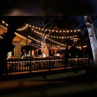 Gartenbeleuchtung / Lichterketten 33m mit 60 LED-Glühbirnen