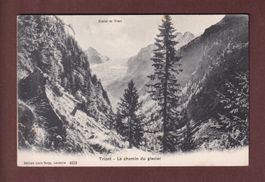 TRIENT - Chemin du glacier