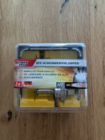 Leuchtmittel Personenwagen gemischt 2X