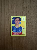 Panini FIFA World Cup 2026, BIH 5